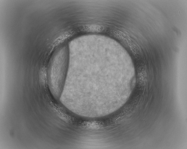 X0000115310688200912141137