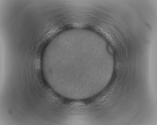 X0000115310689200912141137