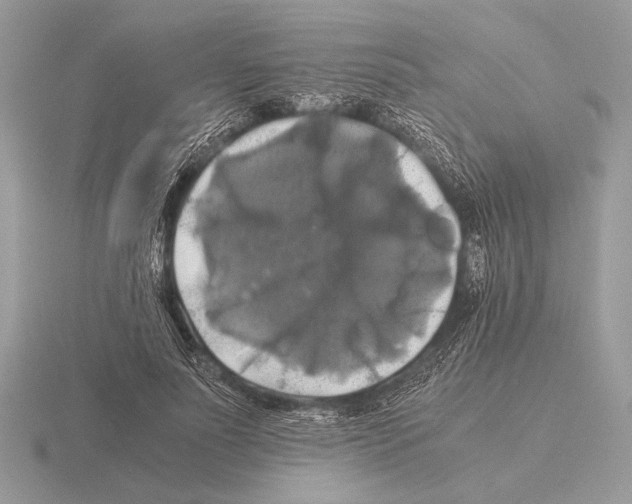 X0000115310691200912141137