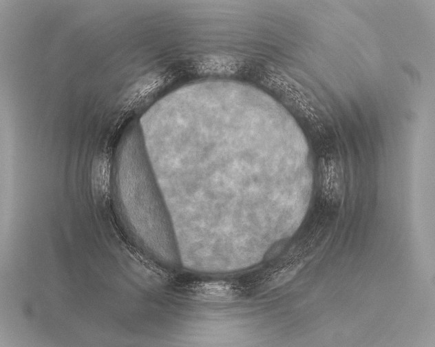 X0000115310692200912141137