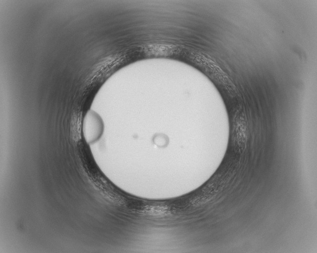 X0000115310694200912141137