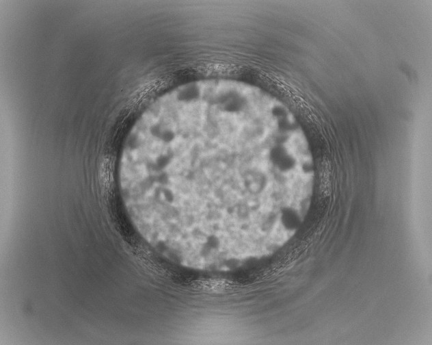 X0000115310695200912141137