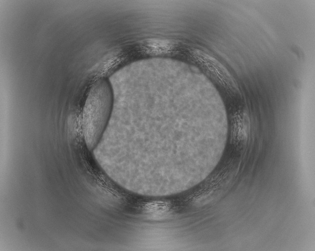 X0000115310700200912141137