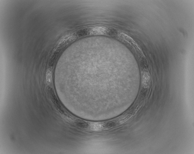 X0000115310701200912141137