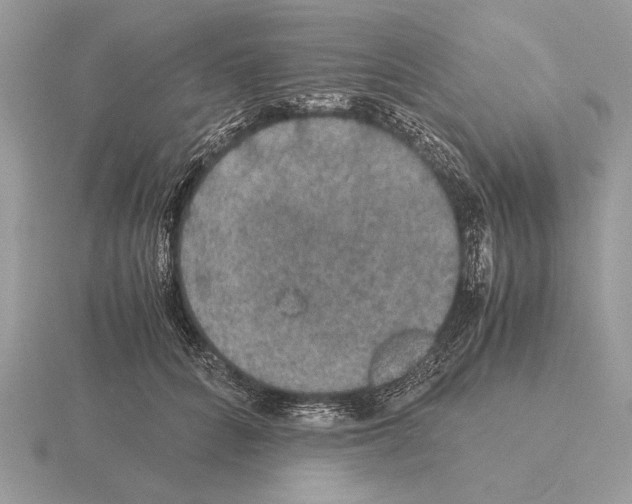 X0000115310704200912141137