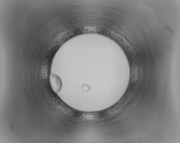 X0000115310706200912141137