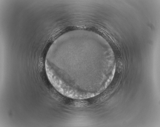 X0000115310707200912141137