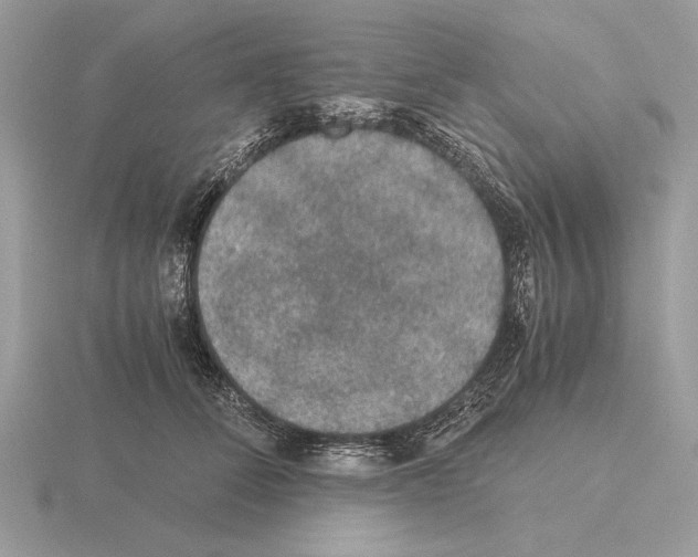 X0000115310708200912141137