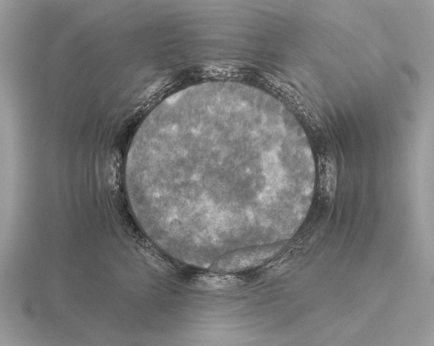 X0000115310712200912141137