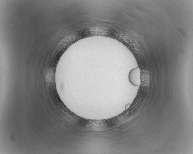 X0000115310713200912141137