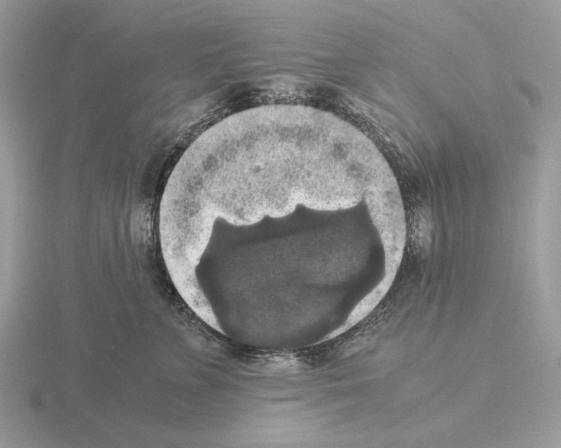 X0000115310715200912141137