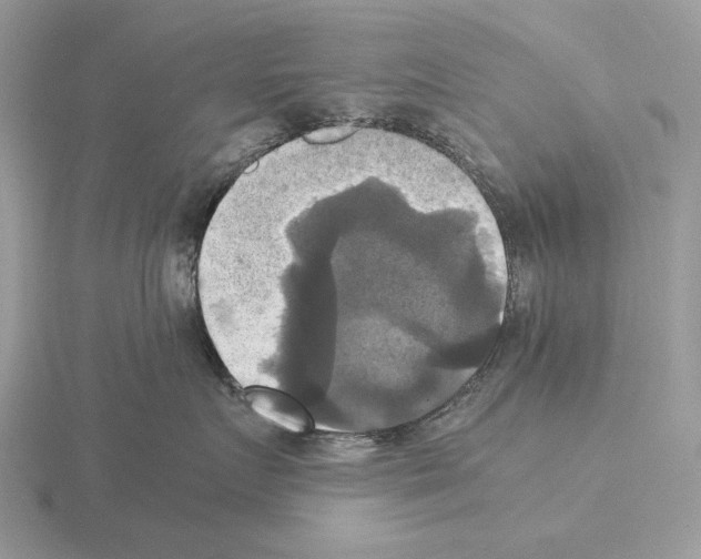 X0000115310719200912141137