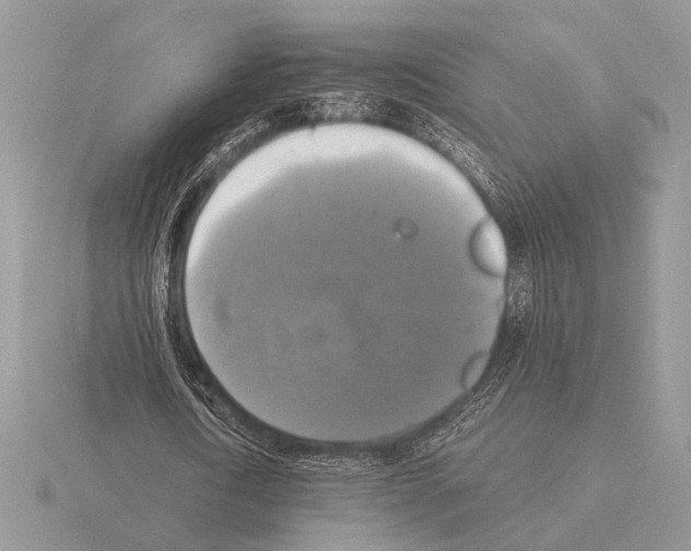 X0000115310722200912141136