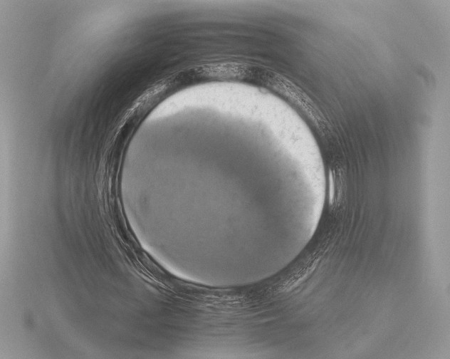 X0000115310723200912141136