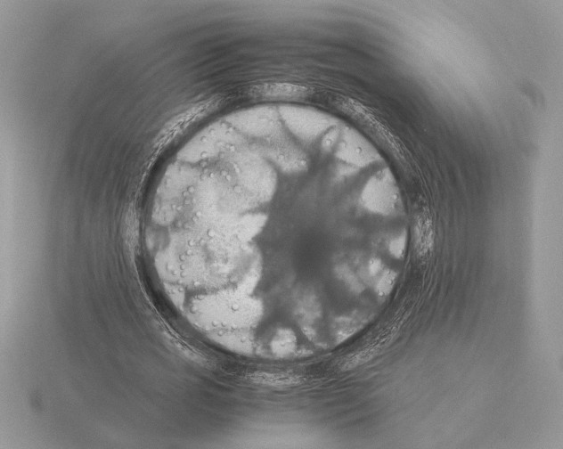 X0000115310725200912141136