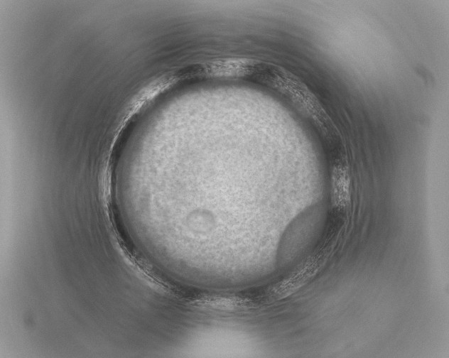 X0000115310726200912141136