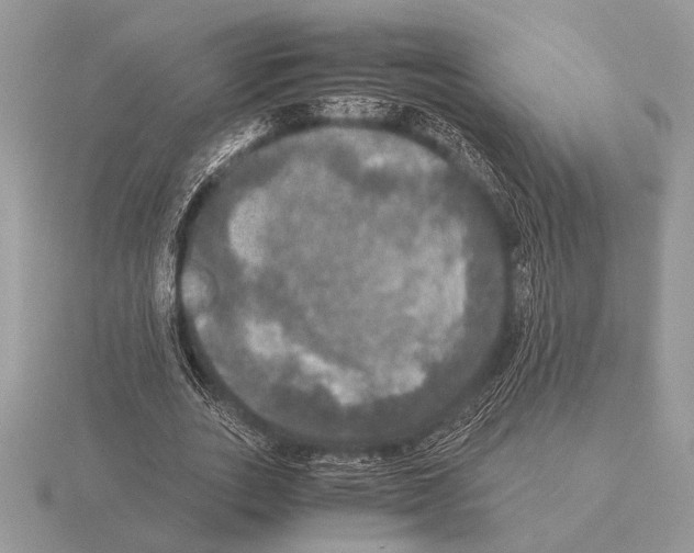 X0000115310727200912141136