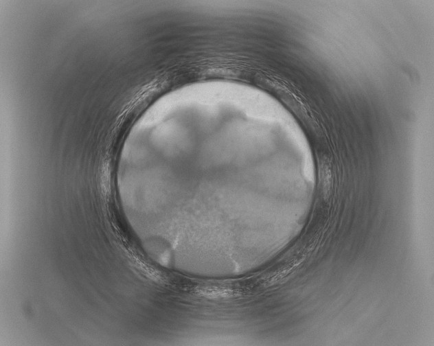 X0000115310729200912141136