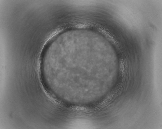 X0000115310730200912141136