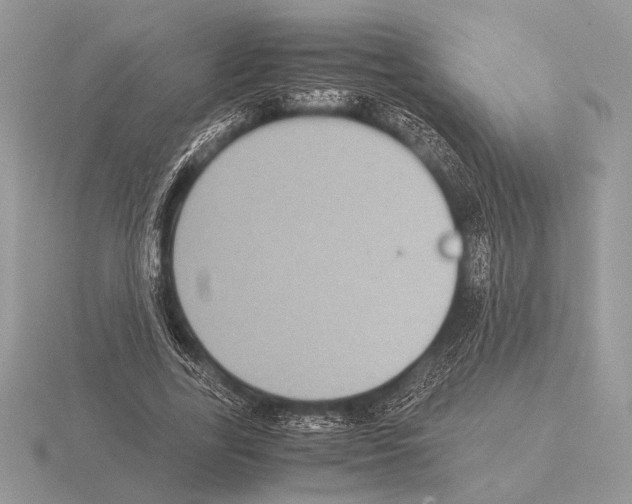 X0000115310731200912141136