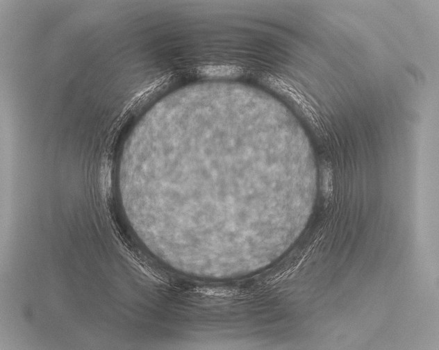 X0000115310733200912141136