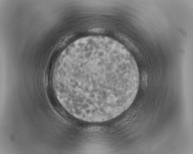 X0000115310734200912141136