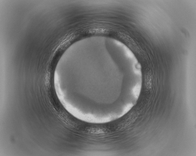 X0000115310735200912141136