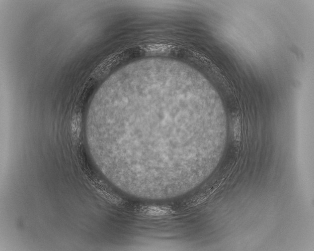 X0000115310737200912141136