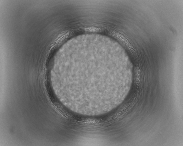 X0000115310738200912141136