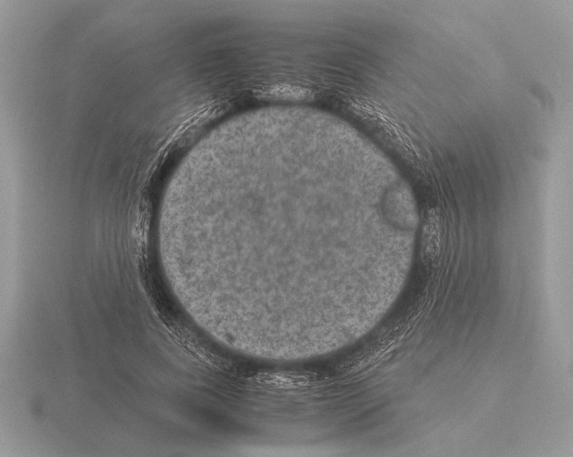 X0000115310739200912141137