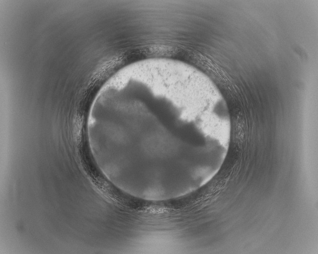 X0000115310742200912141137