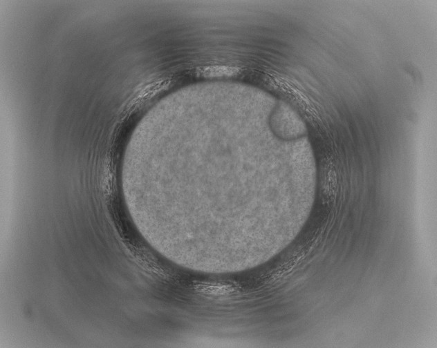 X0000115310743200912141137