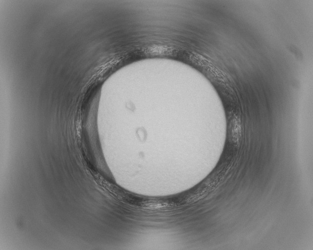 X0000115310746200912141137