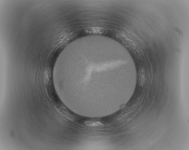 X0000115310747200912141137