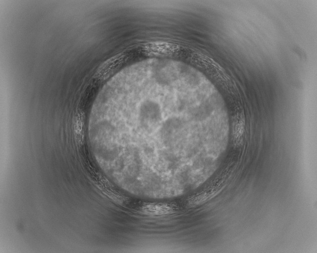 X0000115310749200912141137