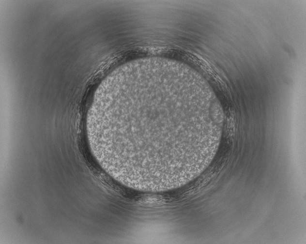 X0000115310750200912141137