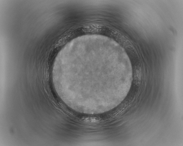 X0000115310751200912141137