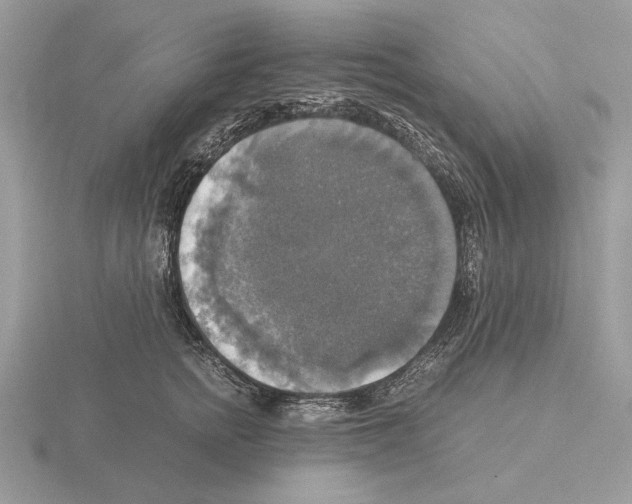 X0000115310758200912141137