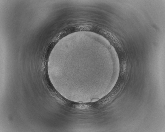 X0000115310759200912141137