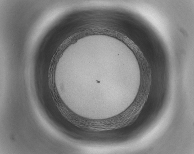 X0000115310766200912141137