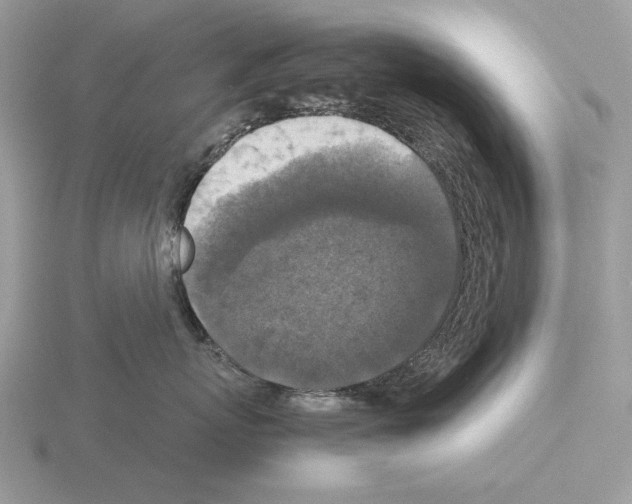 X0000115310767200912141137