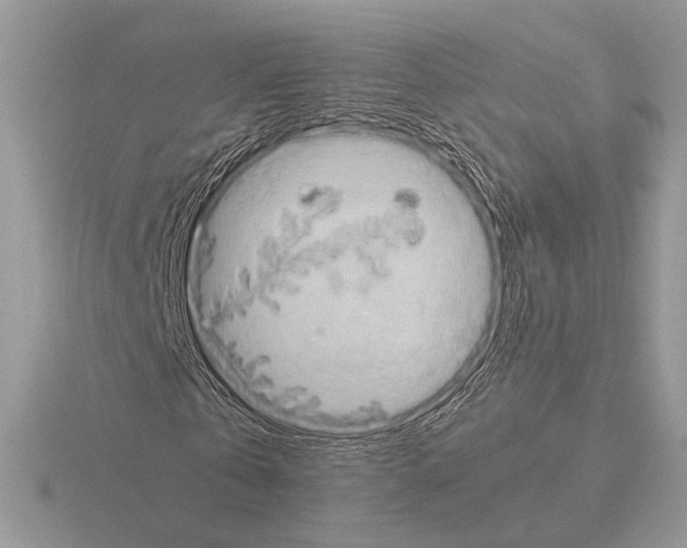 X0000115310769200912141136