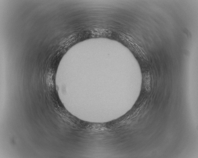 X0000115310770200912141136