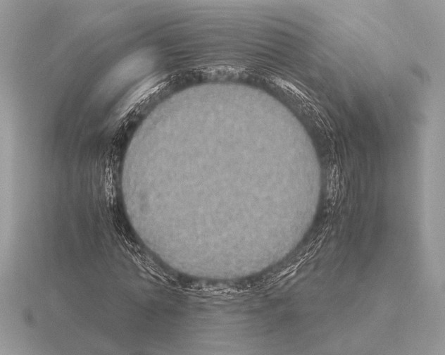 X0000115310774200912141136