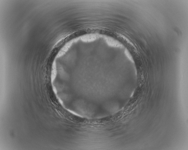 X0000115310775200912141136