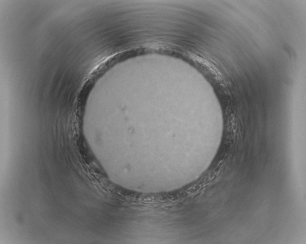 X0000115310776200912141136