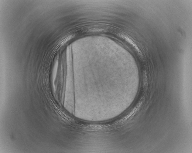 X0000115310777200912141136