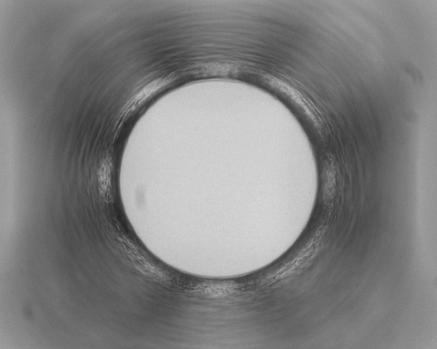 X0000115310778200912141136