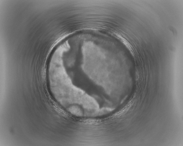 X0000115310779200912141136