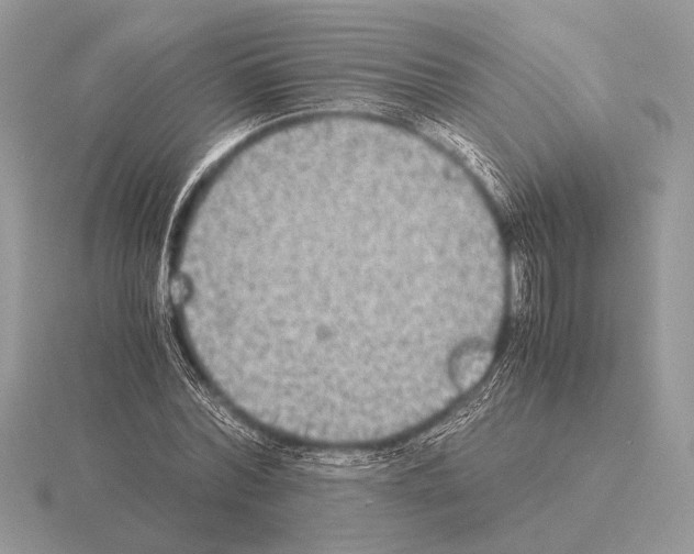 X0000115310780200912141136